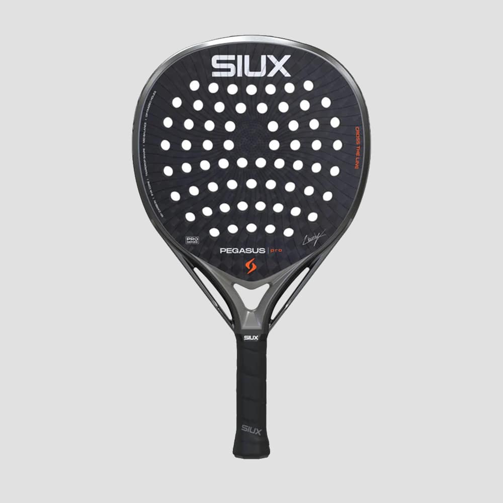 Siux Pegasus Pro 2026 Storm Gray